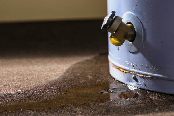 Best Mold removal after water damage  in Glendale, CA