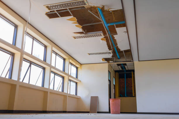 Best Water damage repair service  in Glendale, CA