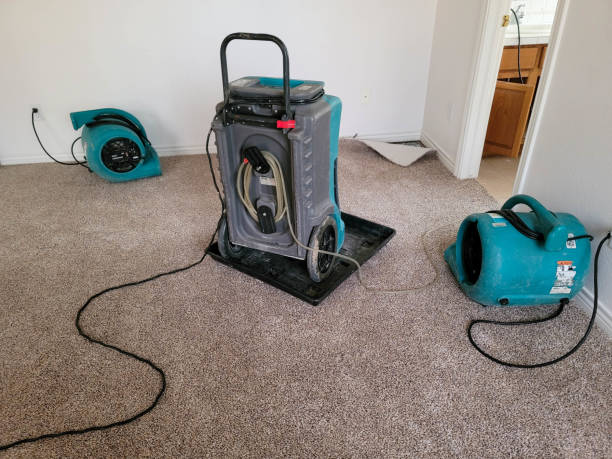 Best Water damage restoration near me  in Glendale, CA