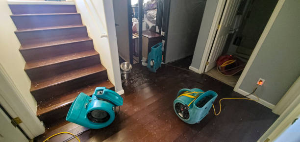 Best Water damage mitigation services  in Glendale, CA