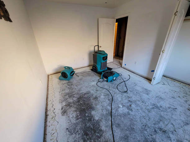 Best Mold removal after water damage  in Glendale, CA
