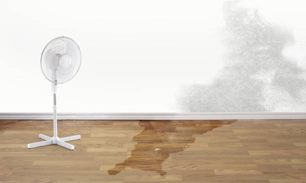 Best Flood restoration services  in Glendale, CA