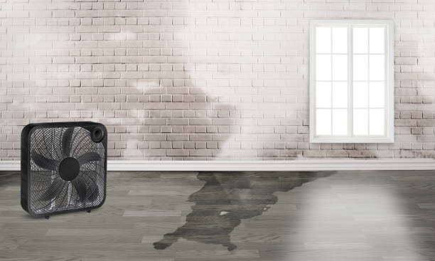Best Water damage restoration near me  in Glendale, CA