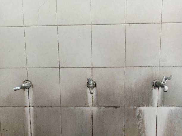 Best 24/7 water damage repair  in Glendale, CA