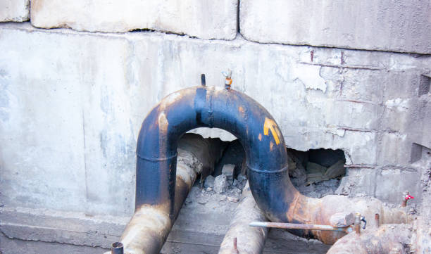 Best Professional water damage repair  in Glendale, CA