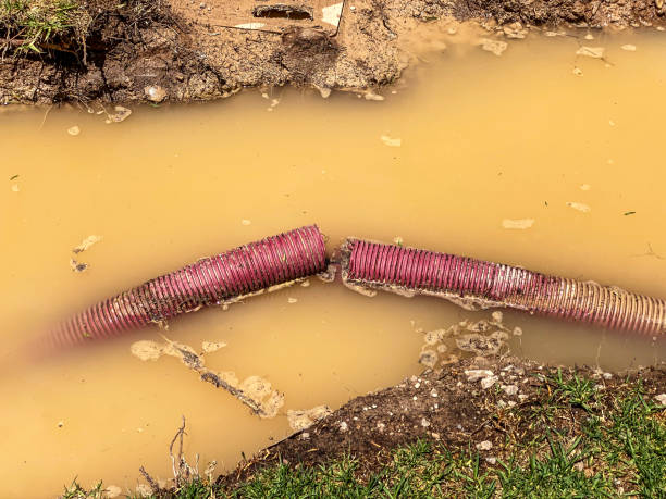  Glendale, CA Water damage restoration Pros