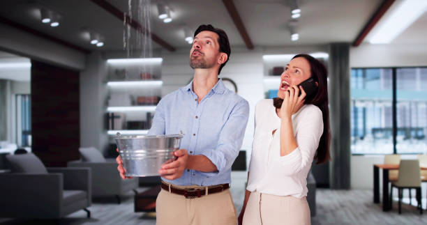 Best Water damage restoration process  in Glendale, CA